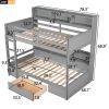 Twin Size Bunk Bed with Built-in Shelves Beside both Upper and Down Bed and Storage Drawe